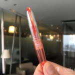 Pilot Petit1